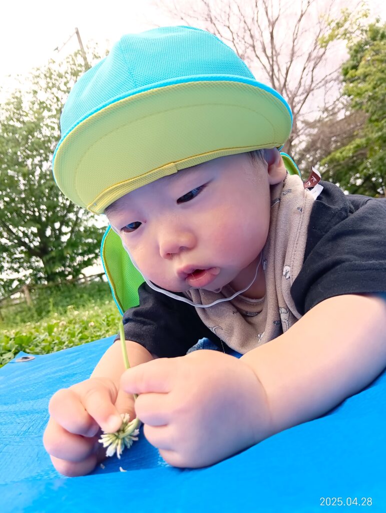 上池公園 お散歩 公園 くじら保育園 吹田保育園 吹田豊津 吹田市 202505-3