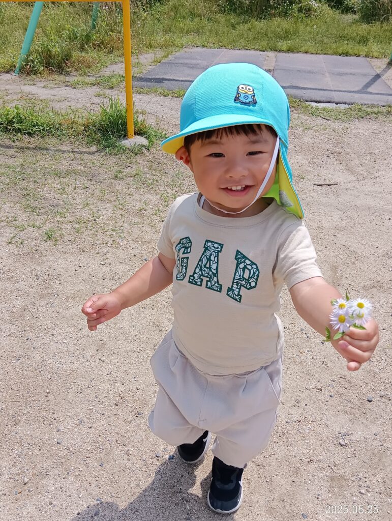 新緑　公園　シロツメクサ　救急車　お散歩　異年齢交流　くじら保育園　吹田豊津　吹田市　202505-1