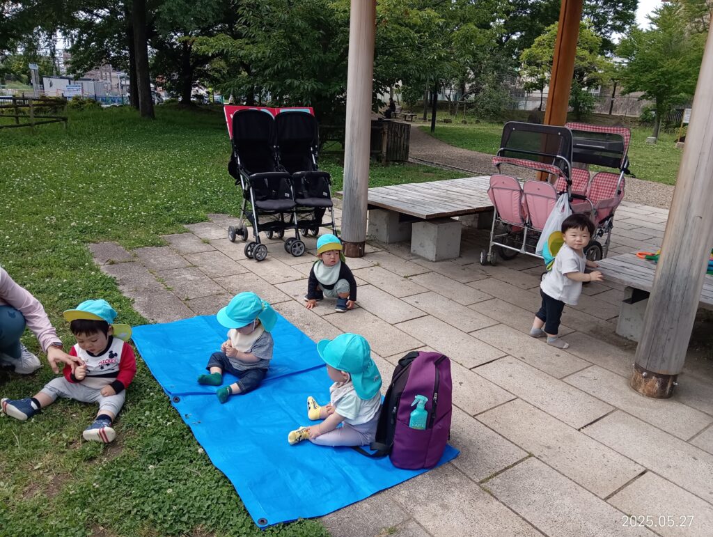 新緑　公園　シロツメクサ　救急車　お散歩　異年齢交流　くじら保育園　吹田豊津　吹田市　202505-2