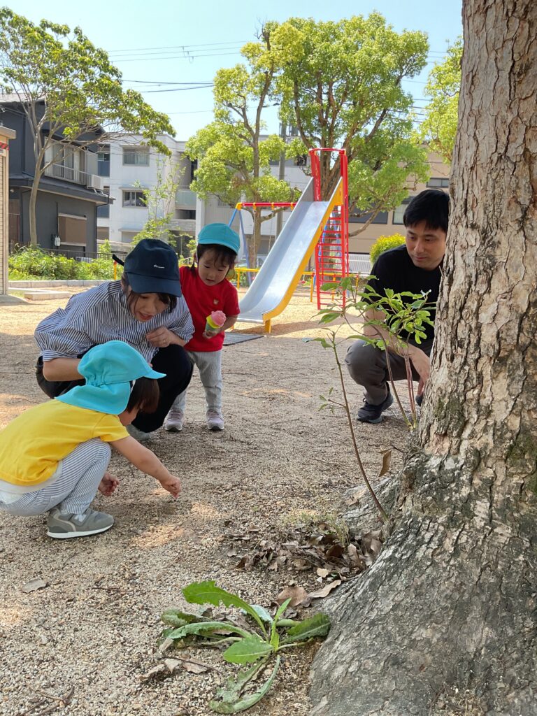 保育参観 保護者参加 参観 保育園 大阪 吹田市 吹田豊津 くじら保育園 1歳児 乳児 202506-3