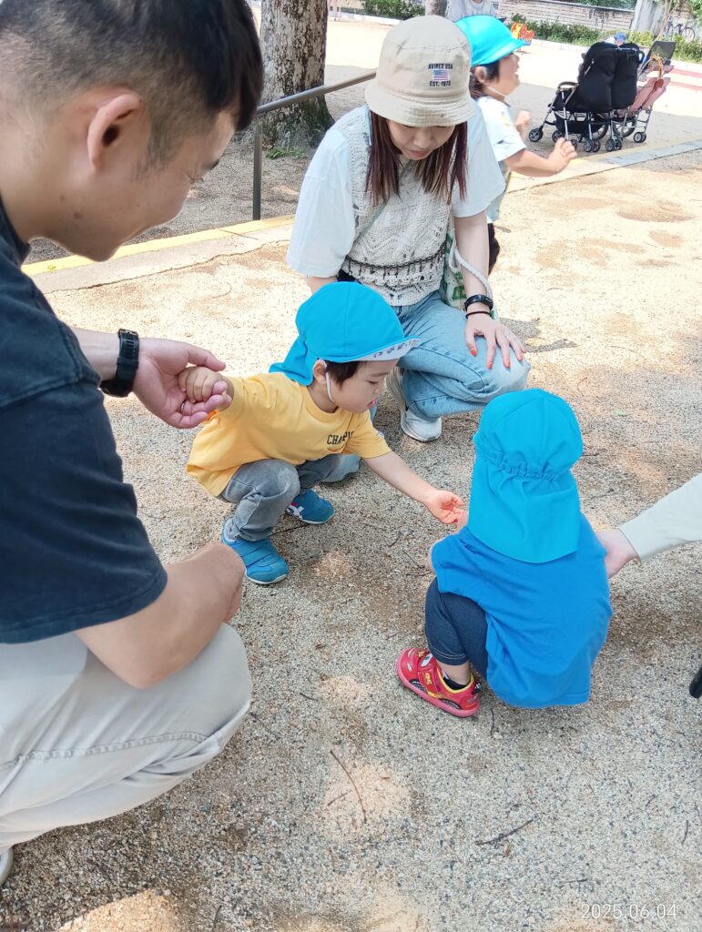 保育参観 お散歩 給食 2歳児 吹田豊津 保育園 吹田市 くじら保育園 202506-3