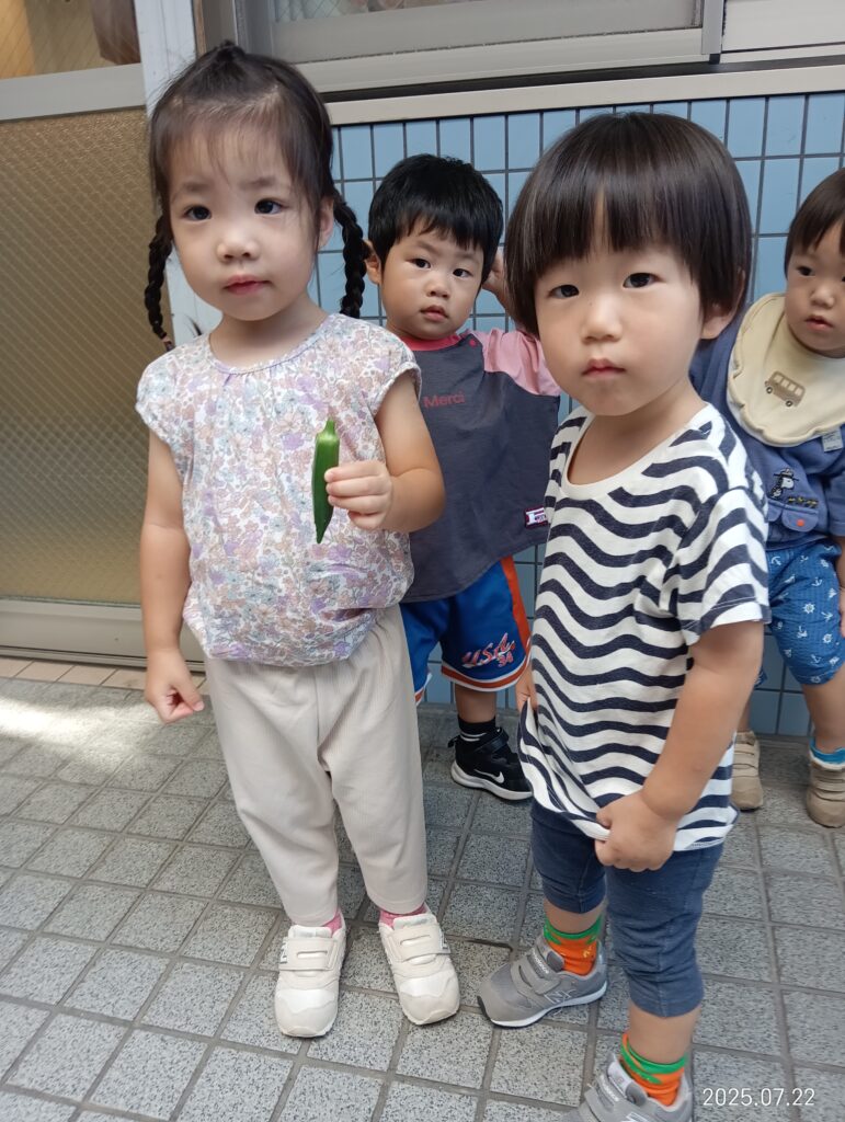 オクラ なす 栽培 収穫 はらぺこあおむし 給食 成長 蝶 くじら保育園 吹田豊津園 吹田市 202507-3