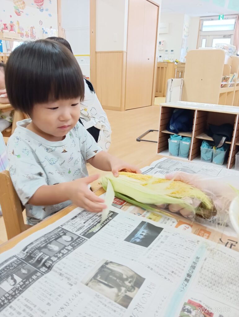 とうもろこし　皮むき　夏の味覚　食育　給食　大阪　保育園　吹田市　吹田　くじら保育園　202508-1