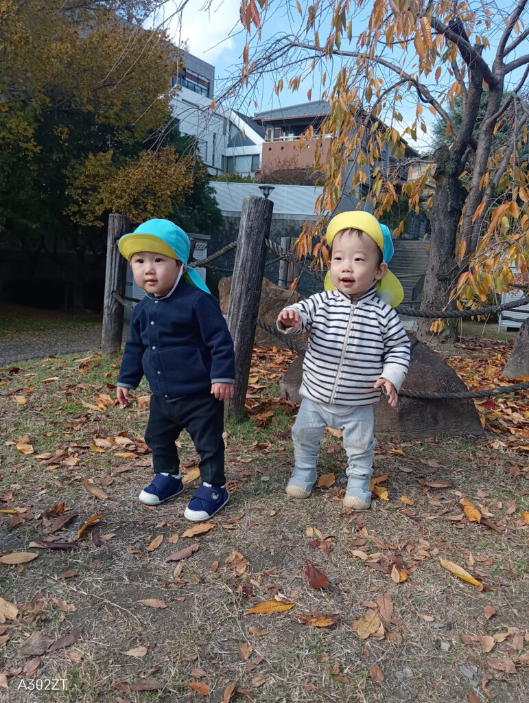 異年齢保育 秋の公園 大阪 保育園 くじら保育園 202512-5