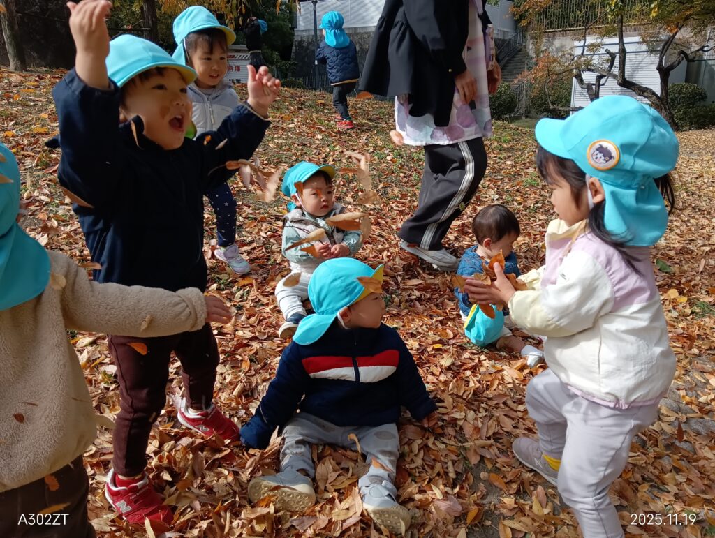 異年齢保育 秋の公園 大阪 保育園 くじら保育園 202512-3