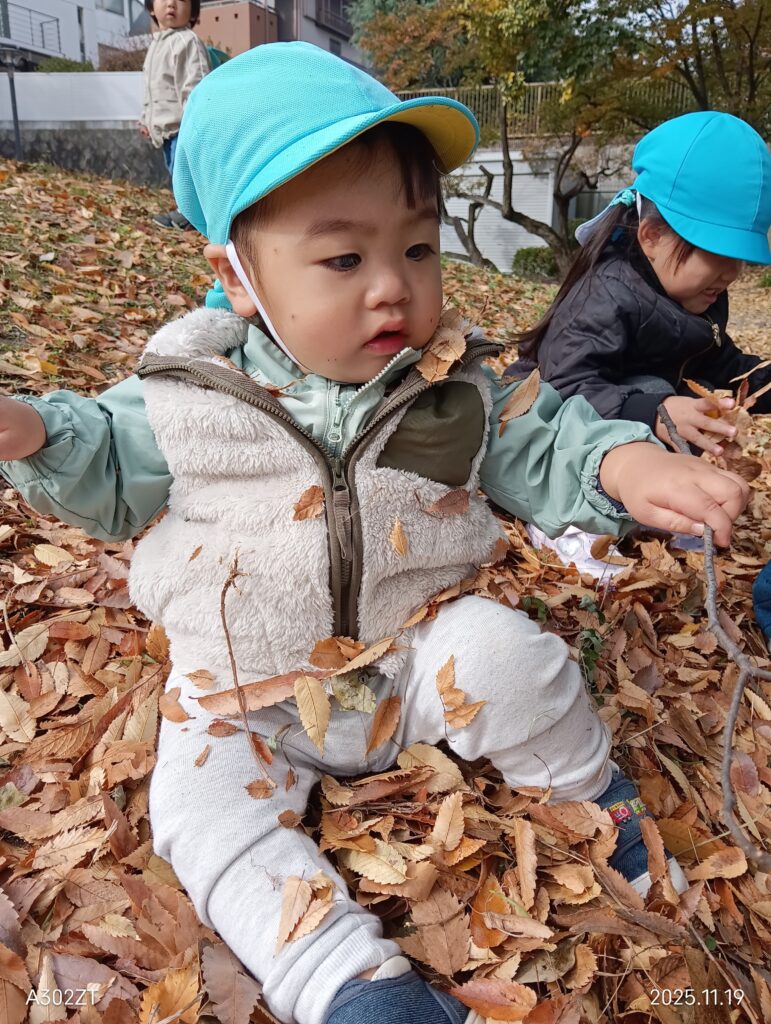 異年齢保育 秋の公園 大阪 保育園 くじら保育園 202512-4