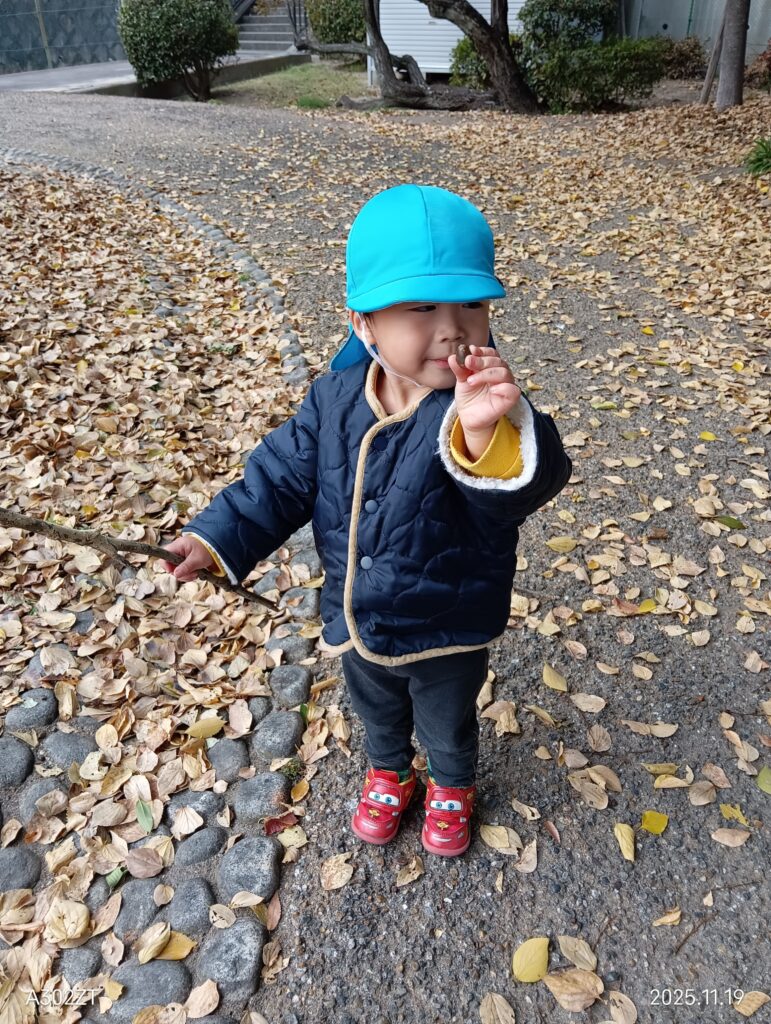 異年齢保育 秋の公園 大阪 保育園 くじら保育園 202512-2