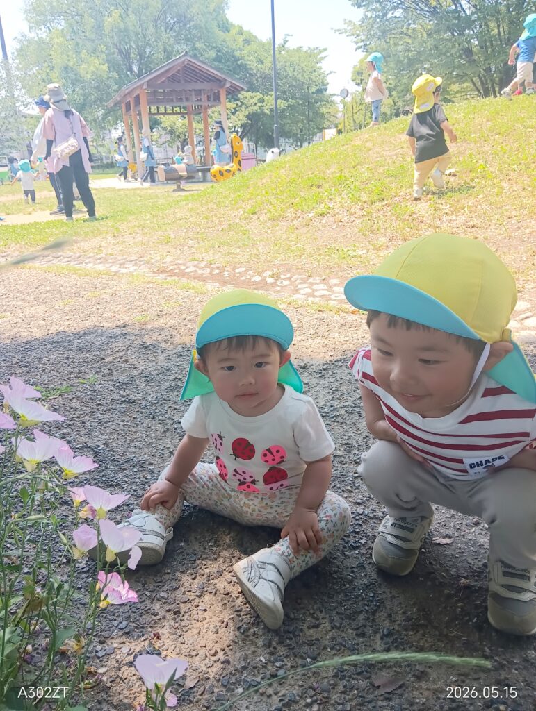 保育園のお散歩遠足 大阪 くじら保育園 202605-3