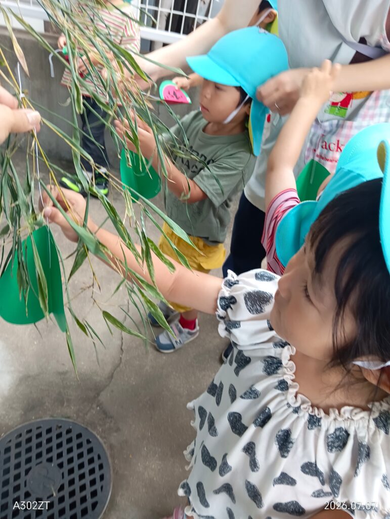 保育園七夕行事　大阪　くじら保育園　202607-3