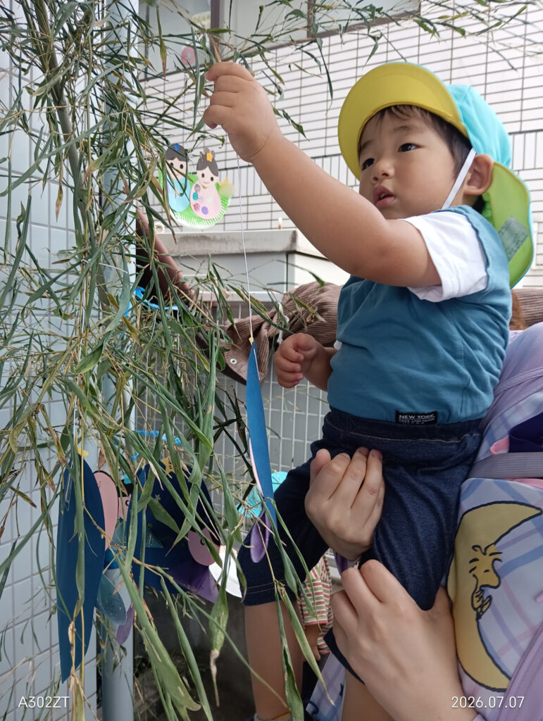 保育園七夕行事　大阪　くじら保育園　202607-2