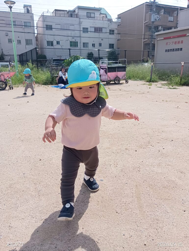 保育園秋のお散歩 自然とのふれあい 大阪 くじら保育園 202609-2