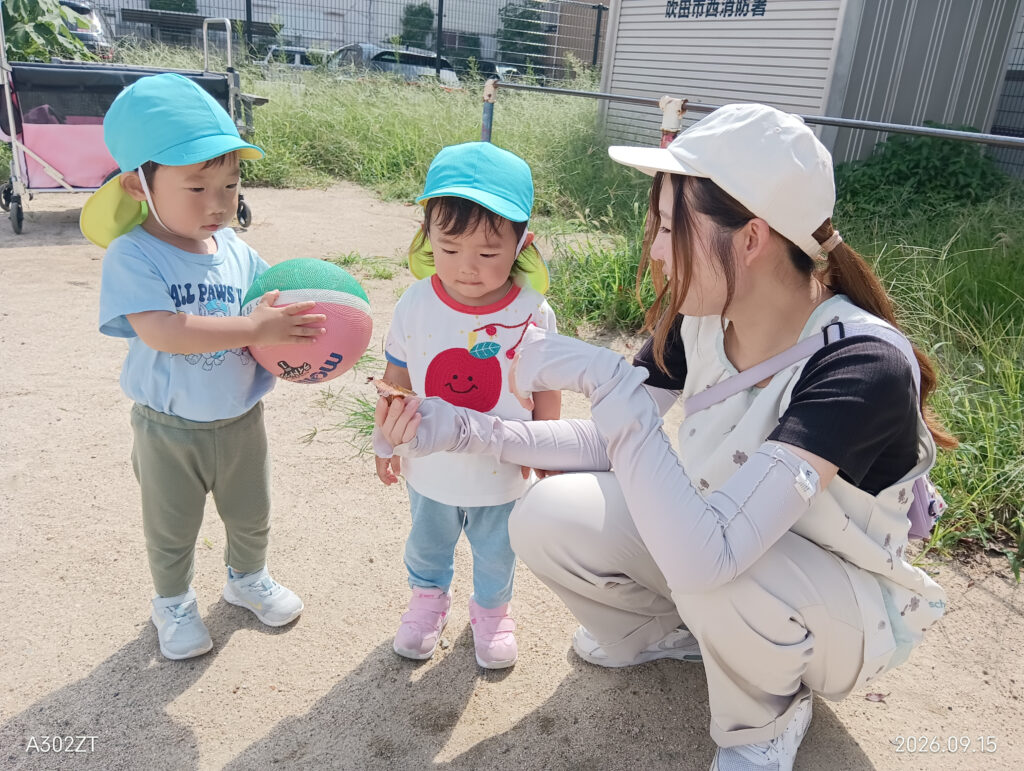 保育園秋のお散歩 自然とのふれあい 大阪 くじら保育園 202609-3