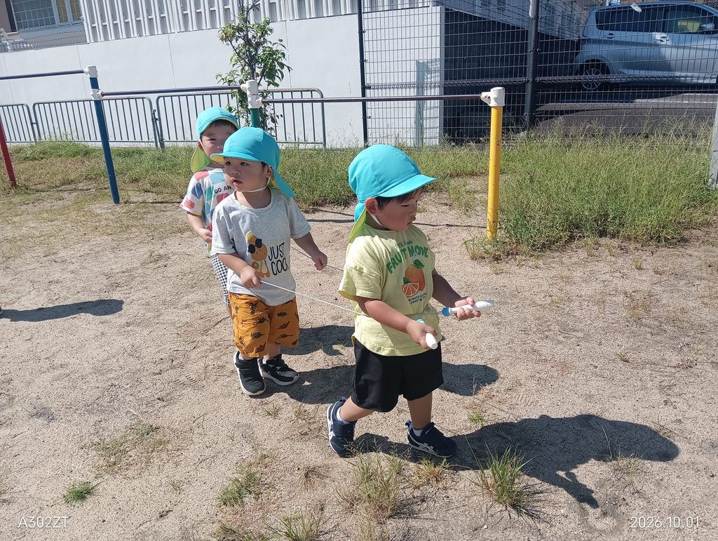 保育園で松ぼっくり集め　秋の自然　大阪　くじら保育園　202610-1