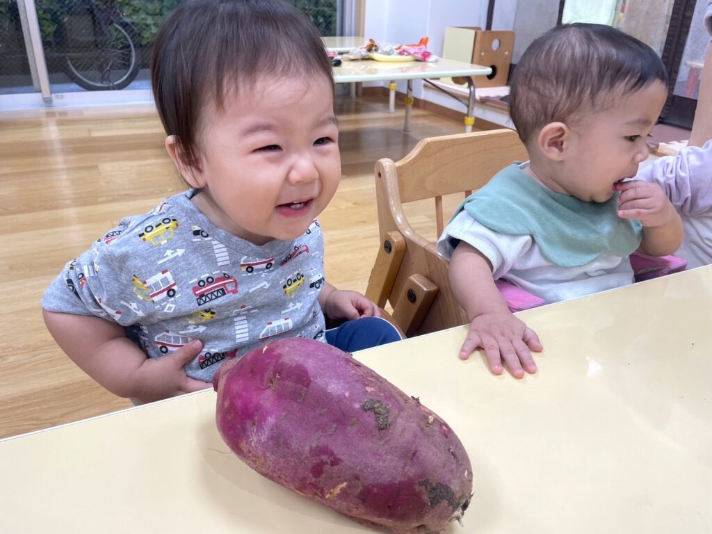 くじら保育園　天王寺園　０歳児　新聞遊び　食育　202411-5