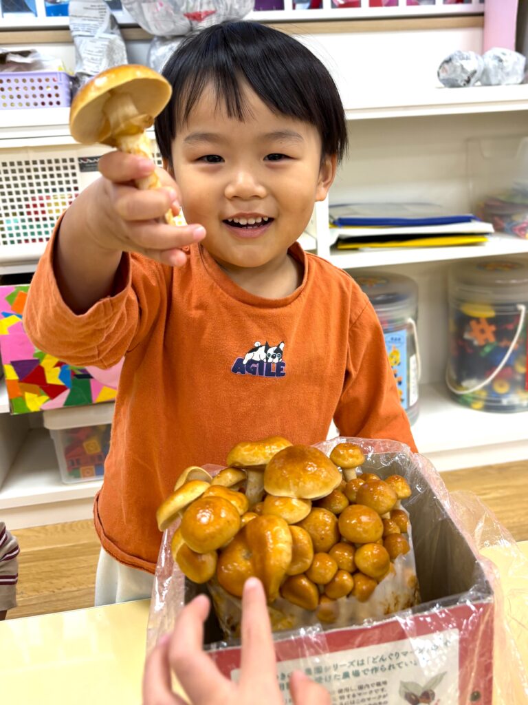 くじら保育園　天王寺園　なめこ栽培　202412-3