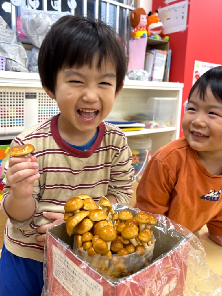 くじら保育園　天王寺園　なめこ栽培　202412-1