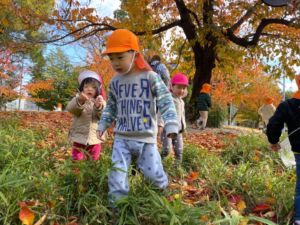 くじら保育園　天王寺園　紅葉　お散歩　202412-1