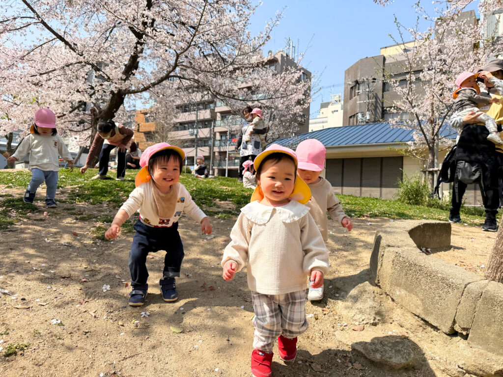 くじら保育園 天王寺 進級 お散歩 1歳児 桜 202504-1