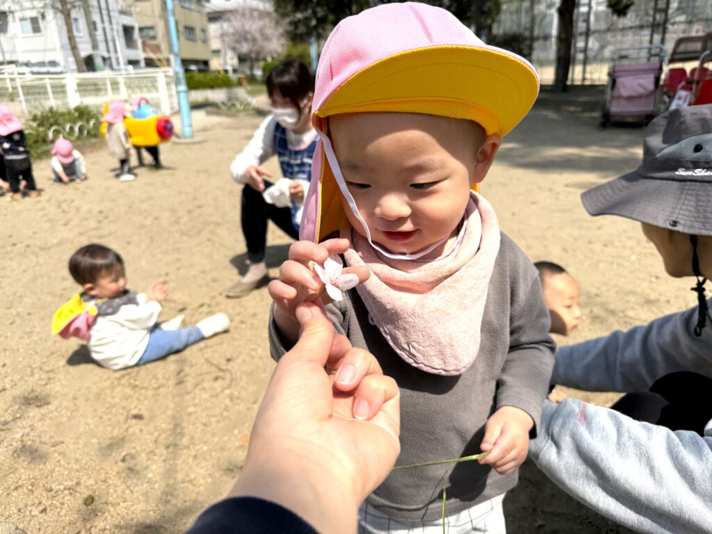 くじら保育園 天王寺 進級 お散歩 1歳児 桜 202504-3