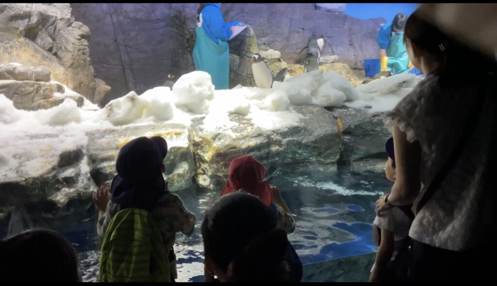 海遊館 親子遠足 ジンベエザメ くじら保育園天王寺園 202505-3