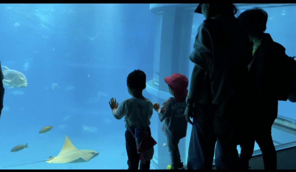 海遊館 親子遠足 ジンベエザメ くじら保育園天王寺園 202505-2
