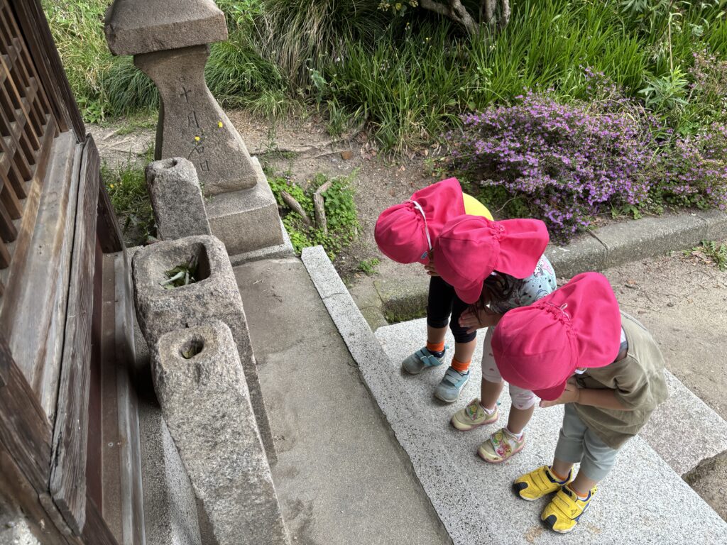 公園　散歩　保育園　3歳児　幼児　ちょうちょ　お地蔵さん　綿毛　タンポポ　くじら保育園　天王寺　202506-4