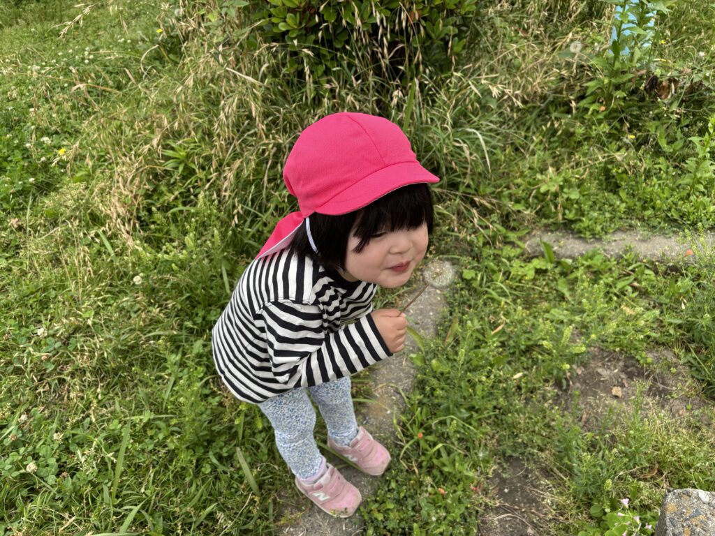 公園　散歩　保育園　3歳児　幼児　ちょうちょ　お地蔵さん　綿毛　タンポポ　くじら保育園　天王寺　202506-3