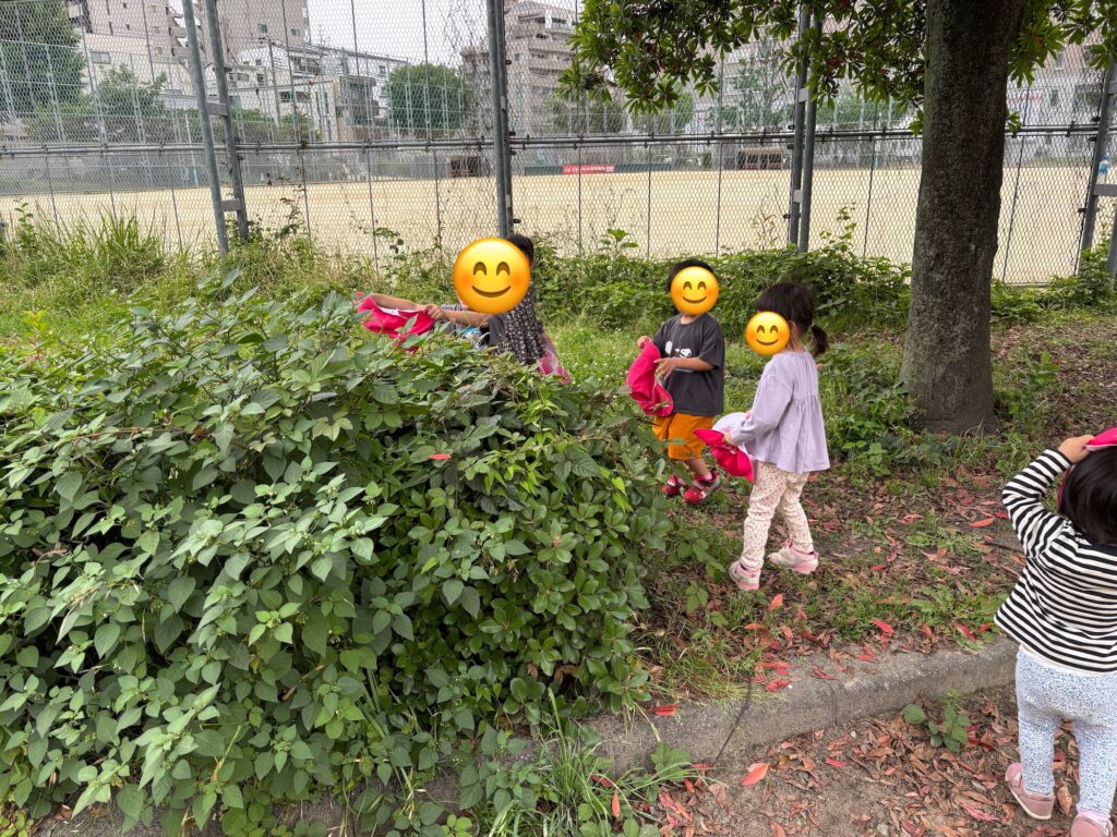 公園　散歩　保育園　3歳児　幼児　ちょうちょ　お地蔵さん　綿毛　タンポポ　くじら保育園　天王寺　202506-1