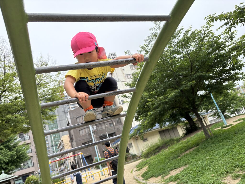 公園　散歩　保育園　3歳児　幼児　ちょうちょ　お地蔵さん　綿毛　タンポポ　くじら保育園　天王寺　202506-2
