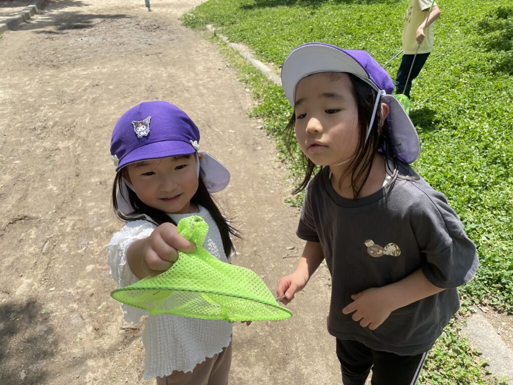 虫取り 飼育 お世話 カブトムシ ダンゴムシ ちょうちょ 蝶々 くじら保育園 天王寺園 202507-3
