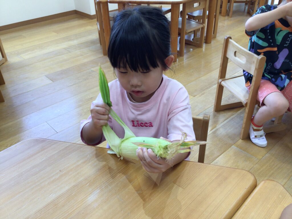 5歳児　年長　とうもろこし　収穫　栽培　食育　給食　くじら保育園　天王寺園　大阪　保育園　202508-3