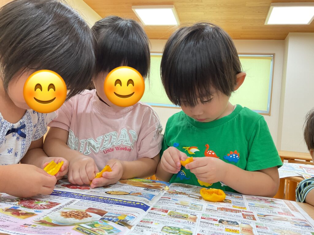 パプリカ 栽培 収穫 食育 お手伝い くじら保育園 大阪 保育園 天王寺 202508-1