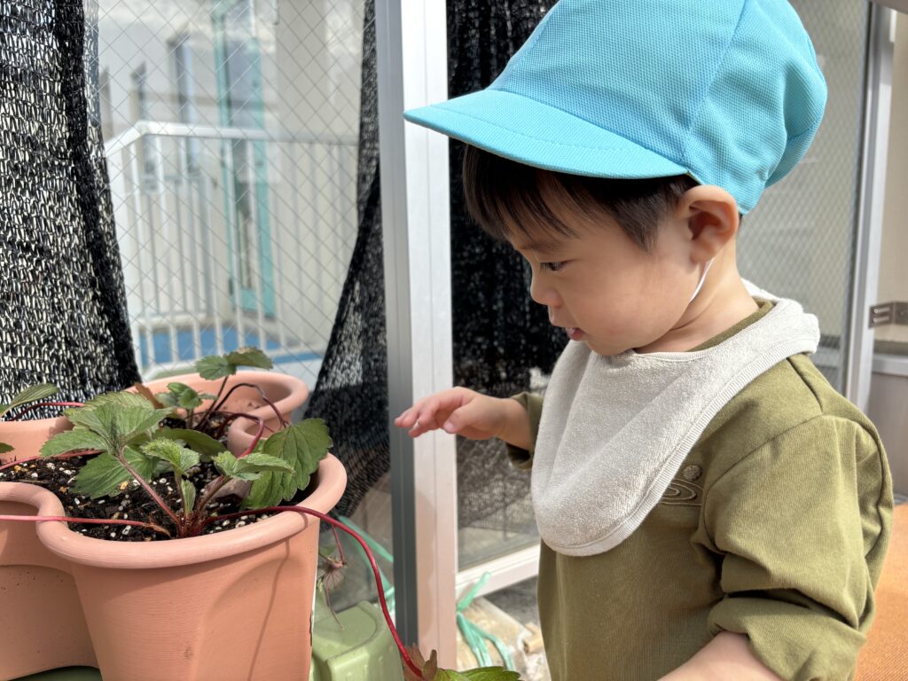 保育園 屋上 大阪 くじら保育園 0歳児 202511-5