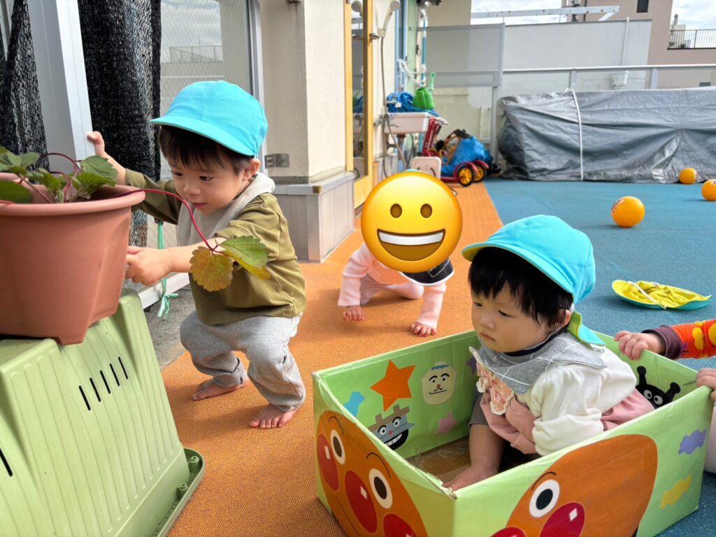 保育園 屋上 大阪 くじら保育園 0歳児 202511-2