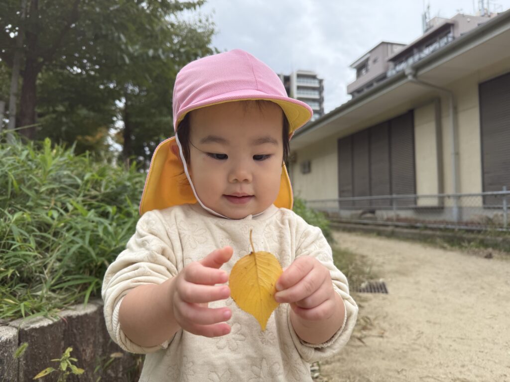 保育園 秋のお散歩 大阪 くじら保育園 202511-2