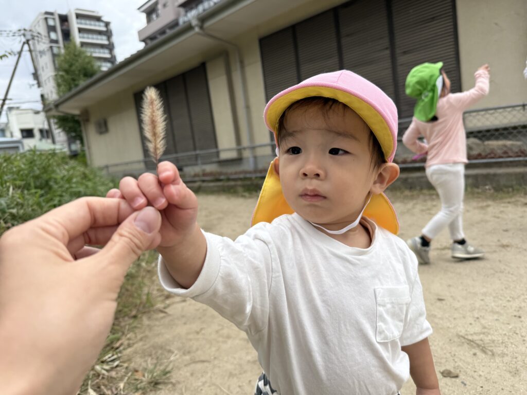 保育園 秋のお散歩 大阪 くじら保育園 202511-3