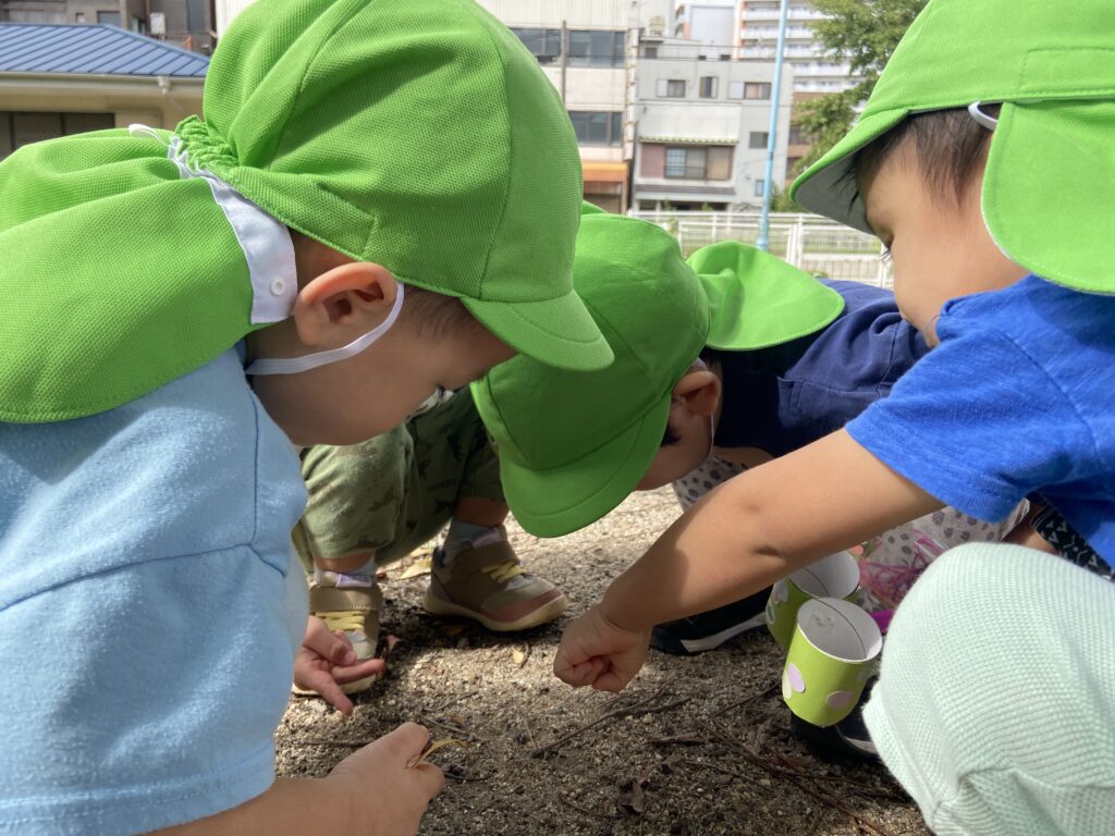 大阪 保育園 くじら保育園 トンボの眼鏡 202511-3