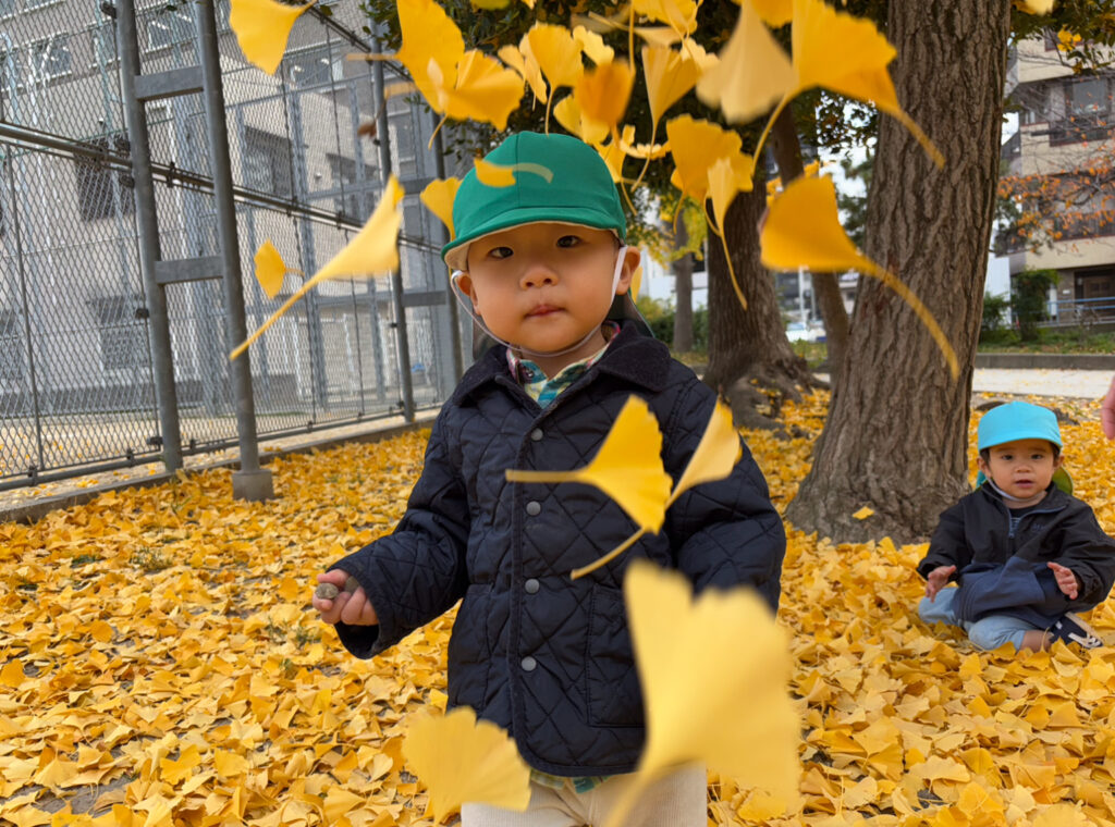 大阪　保育園　くじら保育園　銀杏の絨毯　202512-3
