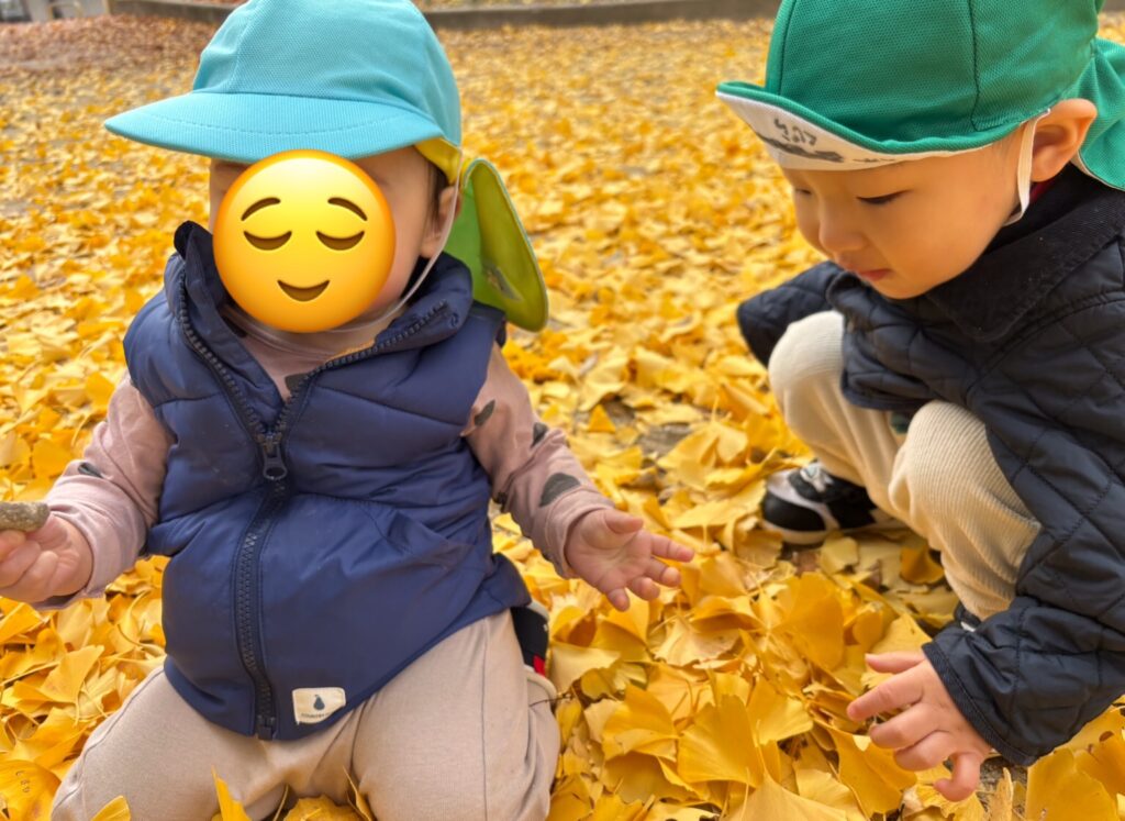 大阪　保育園　くじら保育園　銀杏の絨毯　202512-1