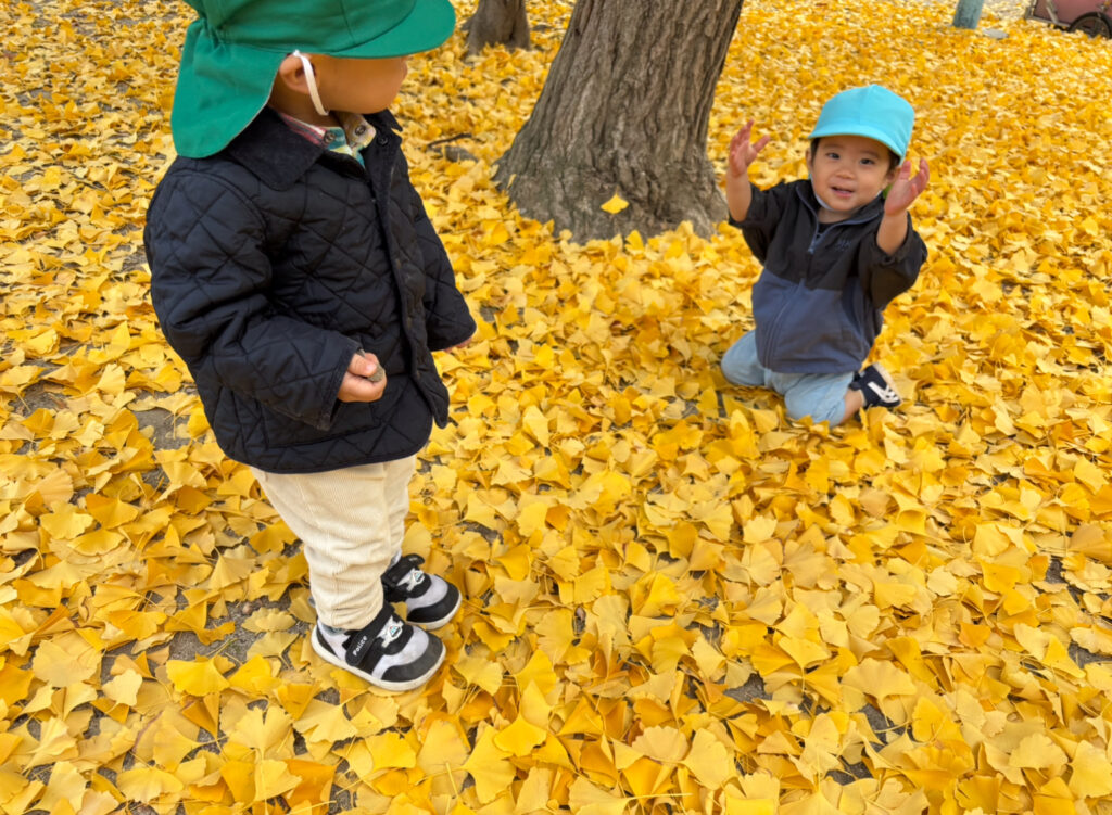 大阪　保育園　くじら保育園　銀杏の絨毯　202512-4