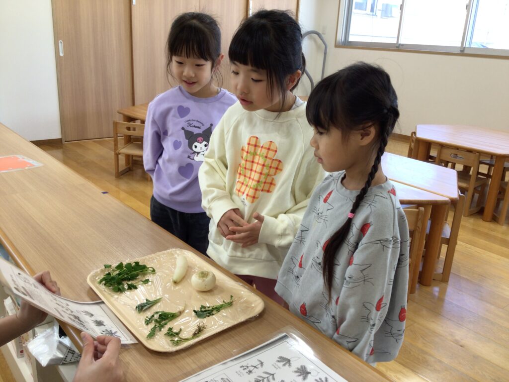 七草のお話と初詣　大阪　保育園　くじら保育園　202601-1