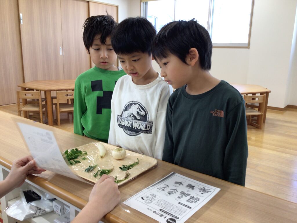 七草のお話と初詣　大阪　保育園　くじら保育園　202601-2