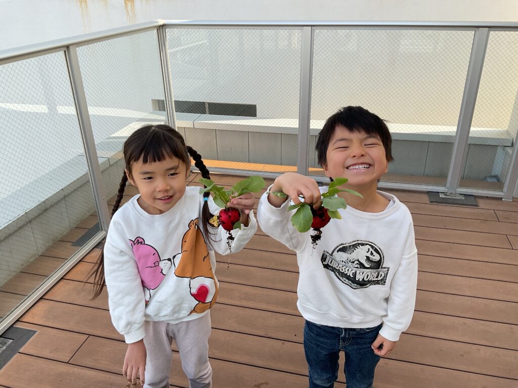 保育園の食育　栽培と調理　大阪　くじら保育園　202602-1