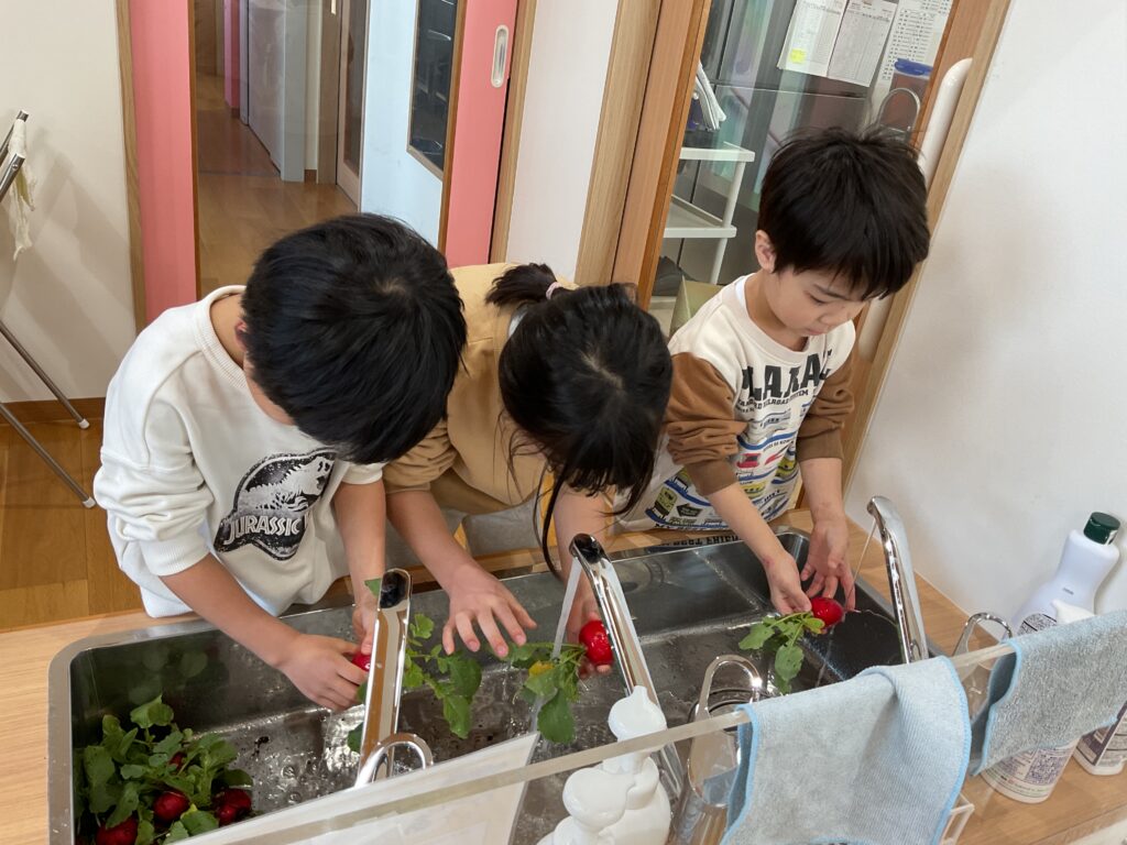 保育園の食育　栽培と調理　大阪　くじら保育園　202602-3