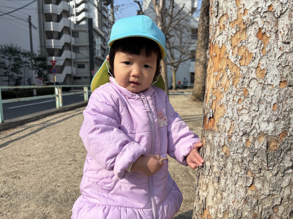 0歳1歳のお散歩 保育園 大阪 くじら保育園 202602-5