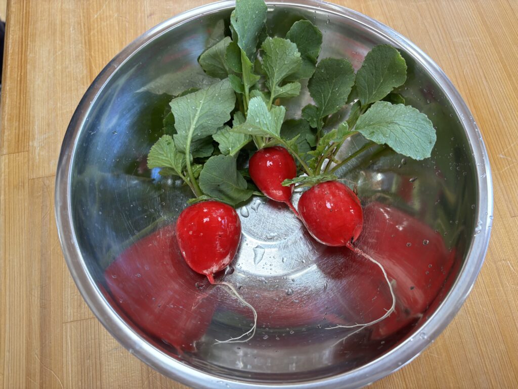 保育園の食育　栽培と調理　大阪　くじら保育園　202602-2