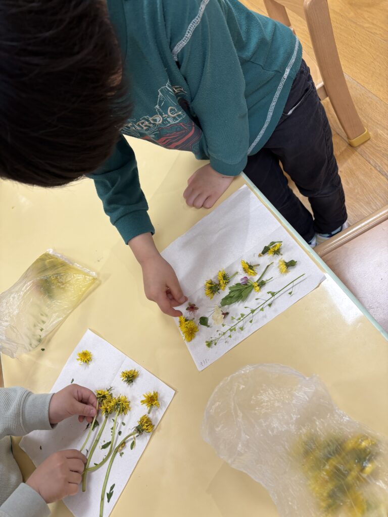 春の描画活動　大阪　くじら保育園　202604-2