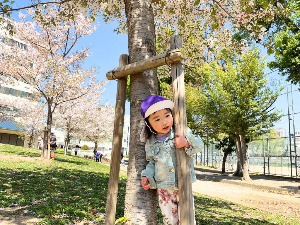 春の日のお散歩　大阪　くじら保育園　202605-4