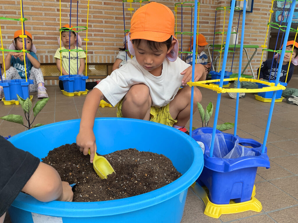 保育園で夏野菜の栽培 なすびの苗植え 大阪 くじら保育園 202605-1