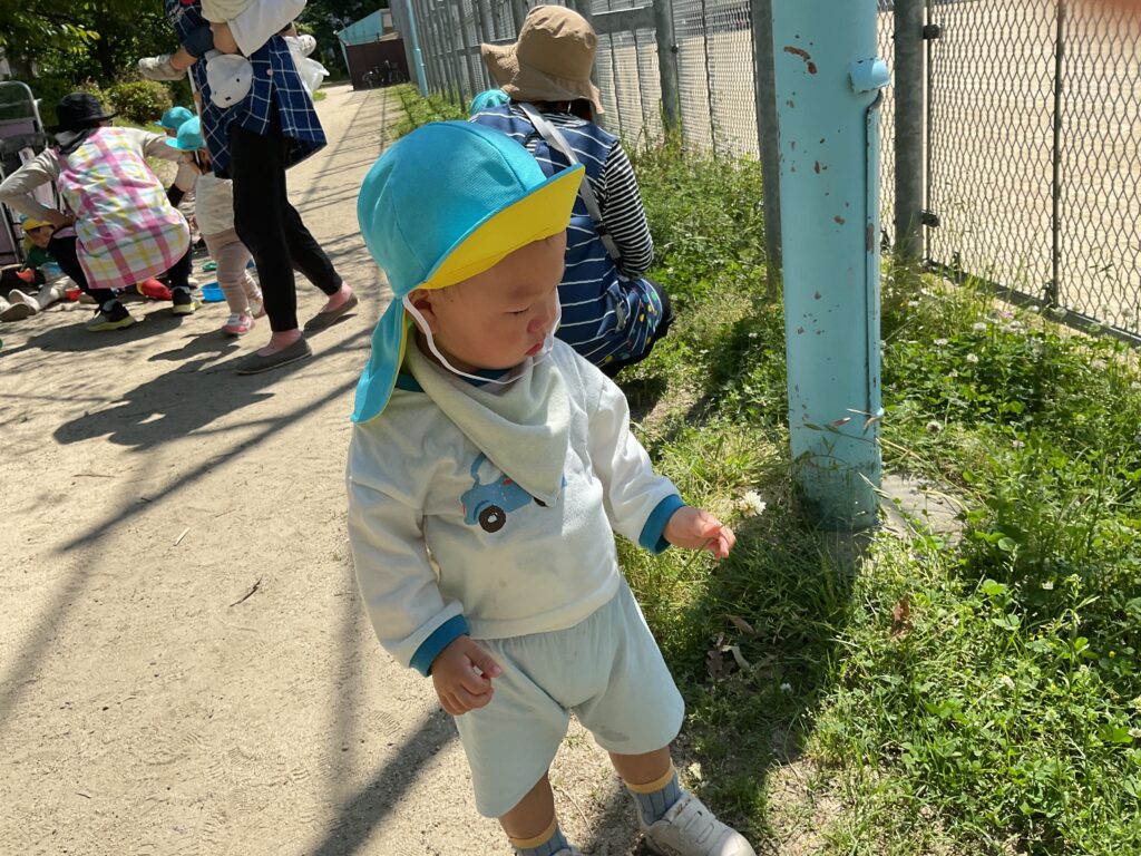 保育園春の公園遊び たんぽぽ 大阪 くじら保育園 202605-1